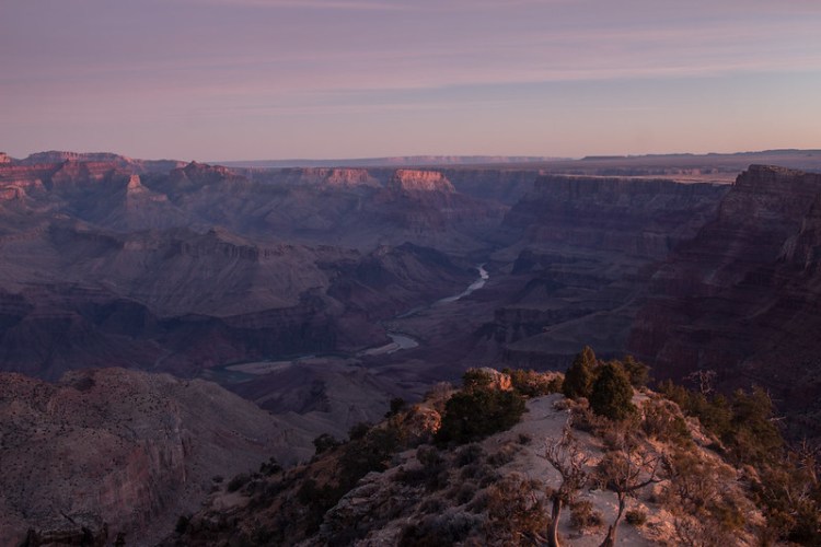 39568504421_0333f408ac_c